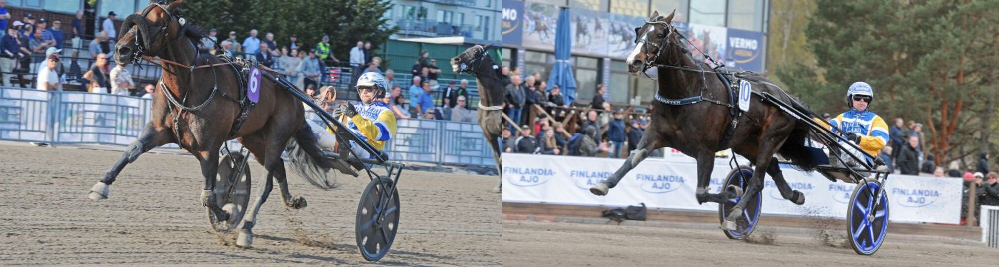 Elitloppet 2025 - Topbanner.jpg