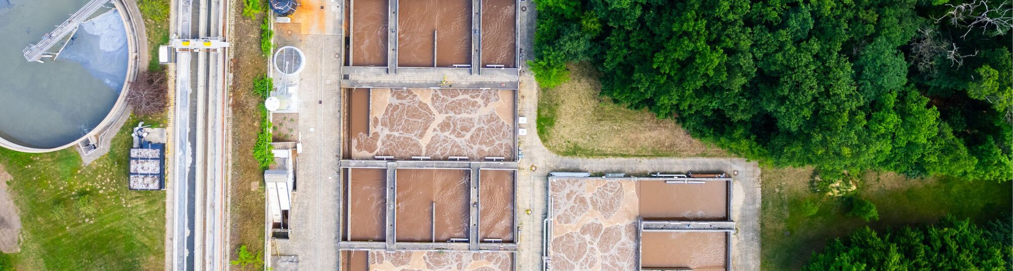 Feralco - topbanner 2026.jpg