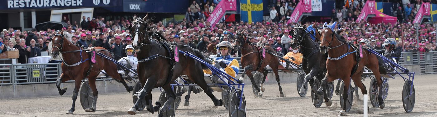 Travverksamhet, 2026.jpg