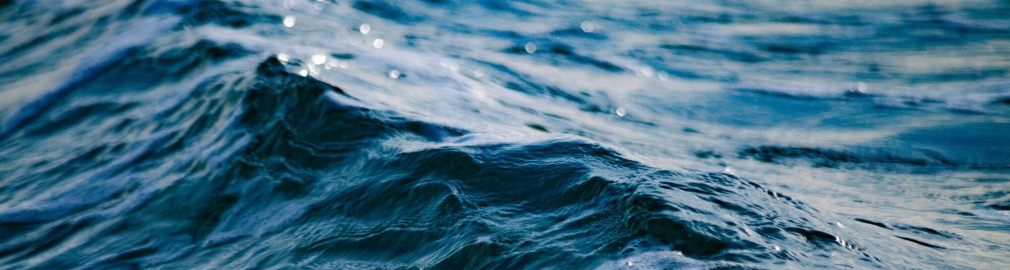 FMG topbanner 2026.jpg